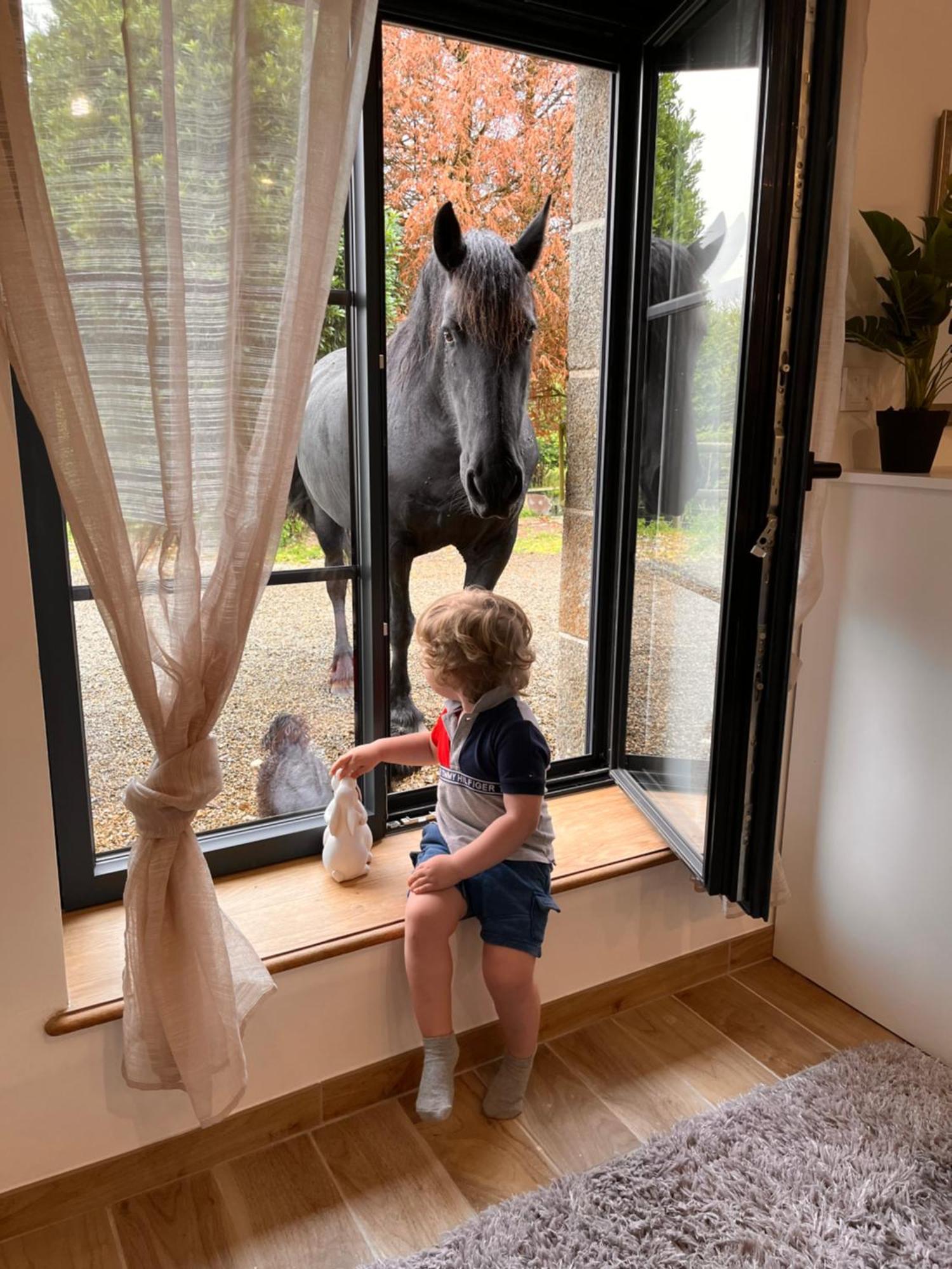 Madelaine Ranch, Nouvelle Piscine 2025 Villa Le Gast Luaran gambar